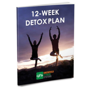 12 Week Detox Plan by Ben Greenfield (e-Book)